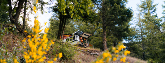 Top 10 Campsites Close to Seattle to Take Your TAXA For a Quick Getaway!